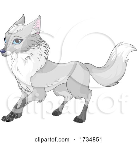 Blue eyed fox