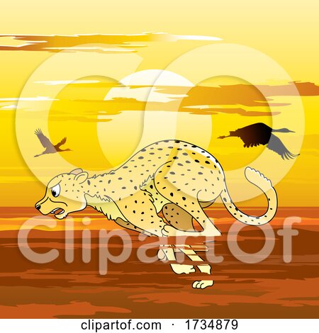 Cheetah Running Against Sunset by Lal Perera