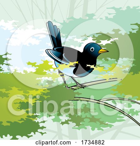 Magpie Bird on a Branch by Lal Perera