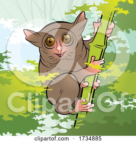 Cute Tarsier on a Bamboo Stalk by Lal Perera