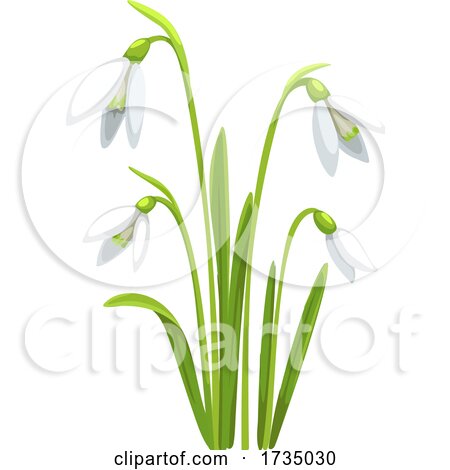 Spring Flowers by Vector Tradition SM