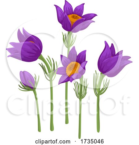 Spring Flowers by Vector Tradition SM