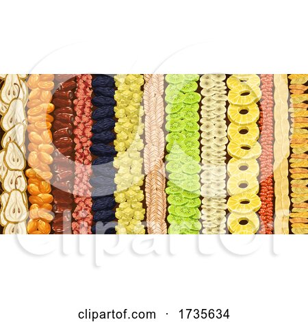 Rows of Dried Fruit by Vector Tradition SM