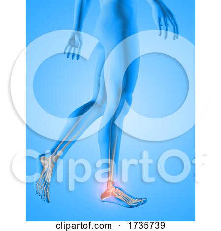 3D Male Medical Figure with Feet Bones Highlighted by KJ Pargeter