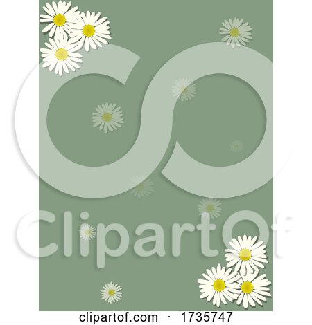 Vintage Blank Green Sheet with Chamomile Flowers by elaineitalia