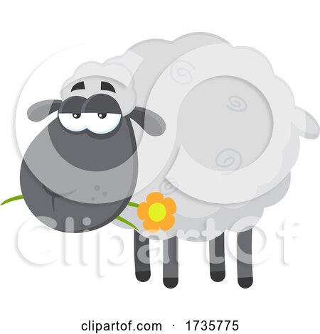 Black Sheep Chewing on a Flower by Hit Toon