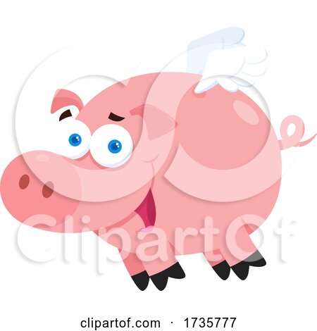 Flying Pig by Hit Toon