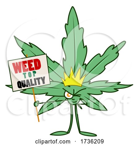 Cannabis Marijuana Pot Leaf Character Holding a Weed Sign by Domenico Condello