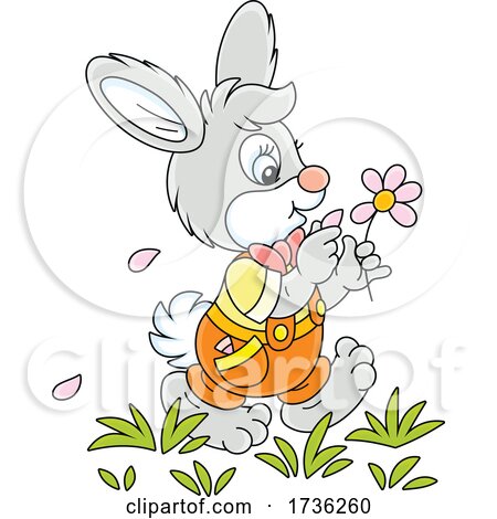 Bunny Rabbit Playing She Loves Me She Loves Me Not with Flower Petals by Alex Bannykh