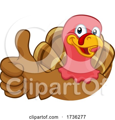 Turkey Thanksgiving or Christmas Cartoon Character by AtStockIllustration