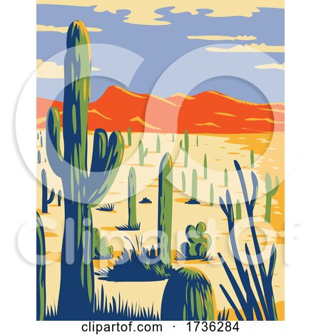 Saguaro National Park with Giant Saguaro Cactus in Sonoran Desert Pima County Arizona WPA Poster Art by patrimonio