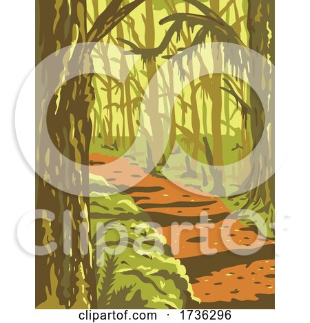 Hoh Rainforest in Olympic National Park Washington State United States WPA Poster Art by patrimonio