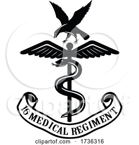 Emblem of the 16 Medical Regiment Black and White by patrimonio