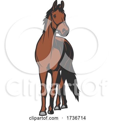 Equestrian Design by Vector Tradition SM