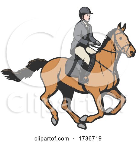 Equestrian Design by Vector Tradition SM