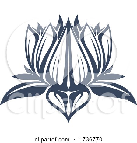 Lotus by Vector Tradition SM