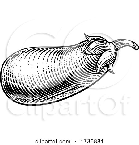Eggplant Aubergine Vegetable Woodcut Illustration by AtStockIllustration
