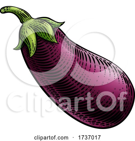 Eggplant Aubergine Vegetable Woodcut Illustration by AtStockIllustration