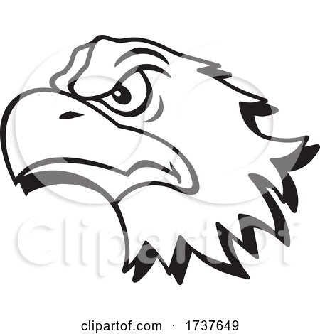 Bald Eagle Mascot Head in Black and White by Johnny Sajem