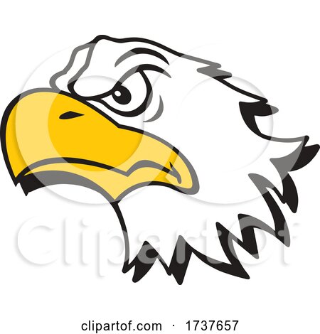 Bald Eagle Mascot by Johnny Sajem
