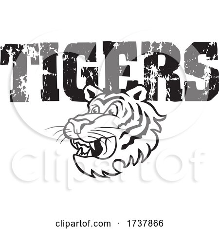 Tiger Sports Team School Mascot and Distressed Text Black and White by Johnny Sajem