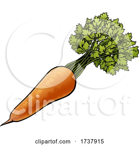 Carrot Vegetable Cartoon Illustration by AtStockIllustration
