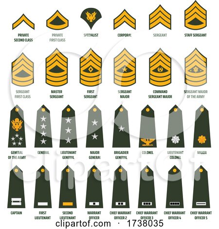 Military Stripes Adn Badges by Vector Tradition SM