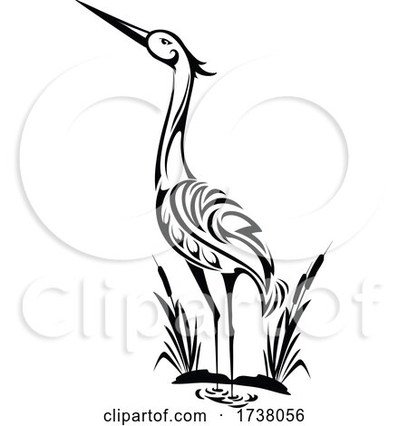 Black and White Heron by Vector Tradition SM