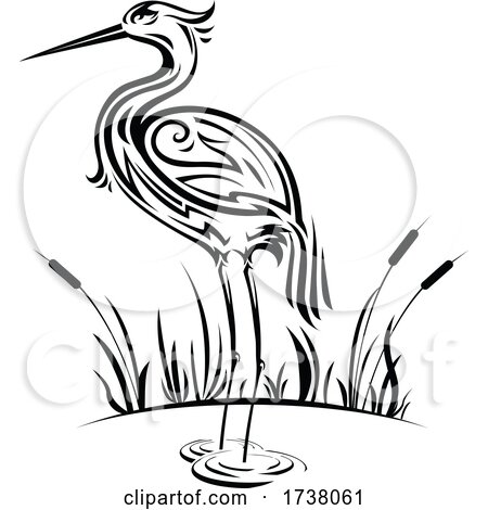 Black and White Heron by Vector Tradition SM