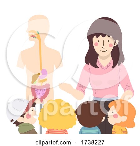 Kids Girl Teacher Digestive System Illustration by BNP Design Studio