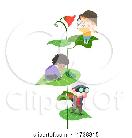 Kids Explore Leaves Flower Insect Illustration by BNP Design Studio