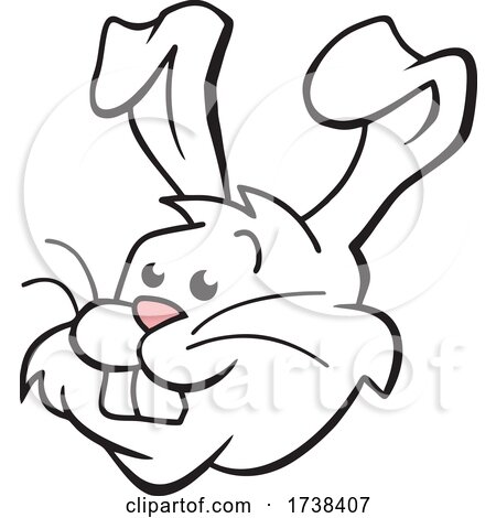 Cartoon Easter Bunny Mascot Head by Johnny Sajem