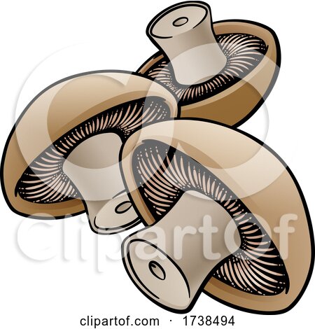 Mushroom Vegetable Cartoon Illustration by AtStockIllustration