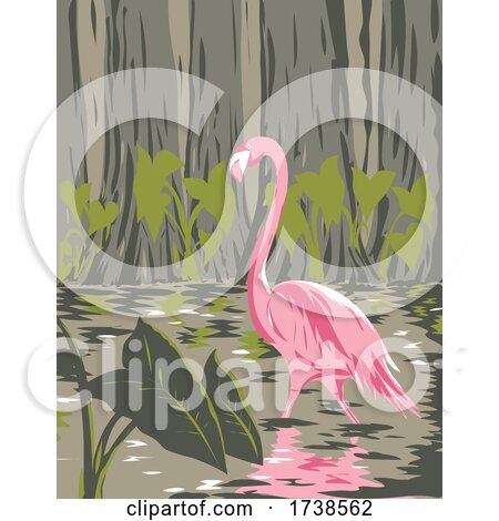 Flamingo in the Everglades National Park Located in Florida United States of America WPA Poster Art by patrimonio