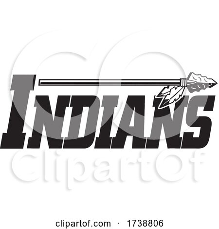 Indians Native American Logo by Johnny Sajem