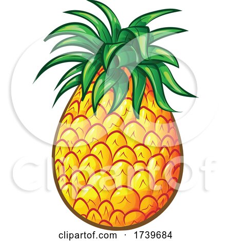 Pineapple by Domenico Condello
