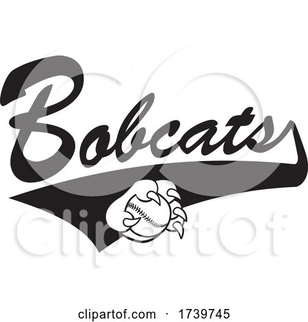 Paw Grabbing a Baseball and Bobcats Text with a Swoosh by Johnny Sajem