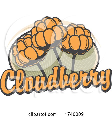 Swedish Cloudberry Design by Vector Tradition SM