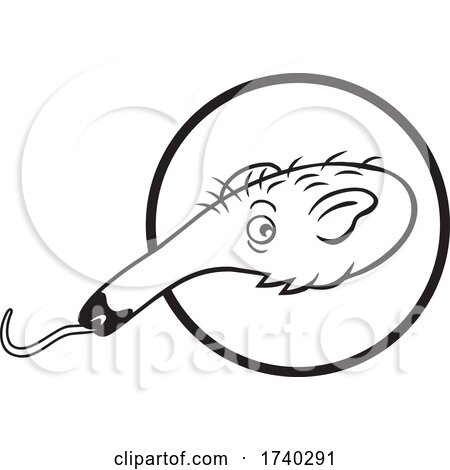 Anteater Mascot Head Black and White by Johnny Sajem