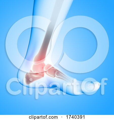 3D Medical Image of Ankle Bone by KJ Pargeter
