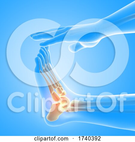 3D Male Medical Figure with Close up of Foot with Ankle Bones Highlighted by KJ Pargeter