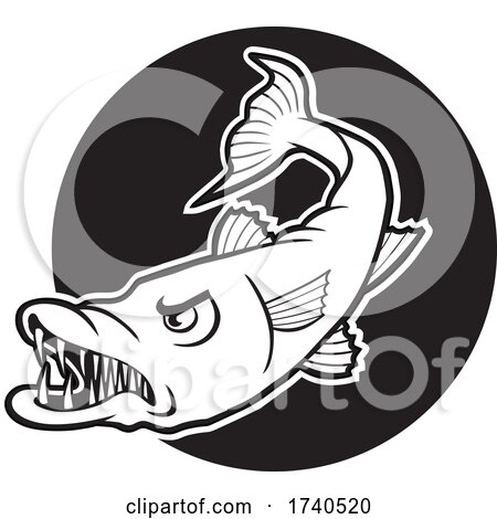 Barracuda Fish Mascot over a Black Circle by Johnny Sajem