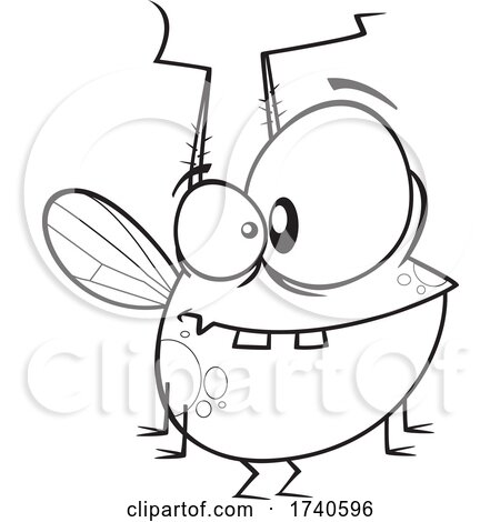 Cartoon Black and White Chubby Fly by toonaday