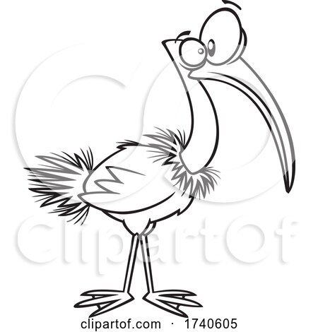 Cartoon Black and White Ibis Bird by toonaday