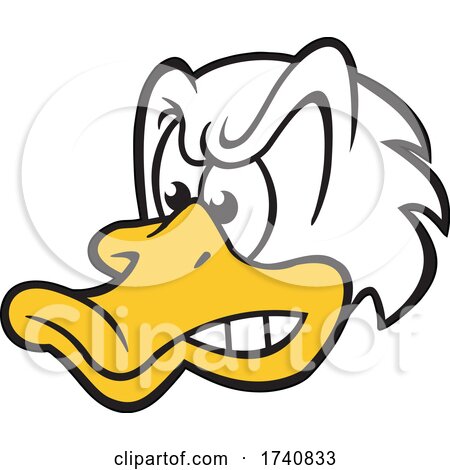 Duck School or Sports Team Masoct Head by Johnny Sajem