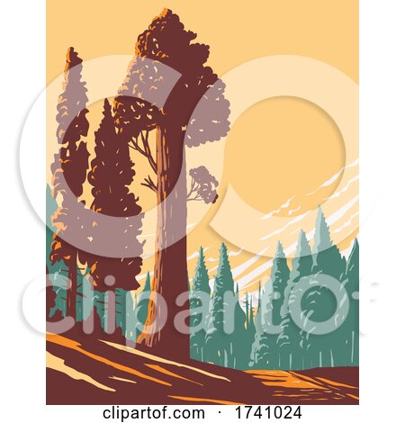 General Grant Tree Trail with the Largest Giant Sequoia in the General Grant Grove Section of Kings Canyon National Park in California WPA Poster Art by patrimonio
