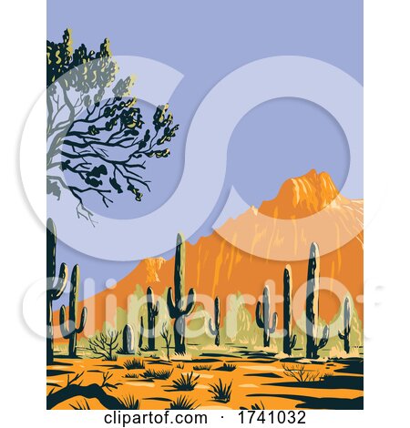Saguaro Cactus or Carnegiea Gigantea in Ironwood Forest National Monument Section of the Sonoran Desert in Arizona WPA Poster Art by patrimonio