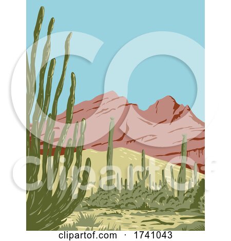 Organ Pipe Cactus National Monument and Biosphere Reserve Located in Arizona and the Mexican State of Sonora WPA Poster Art by patrimonio