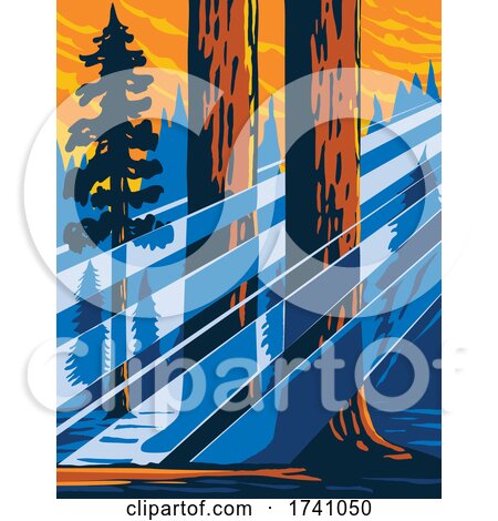 The Giant Sequoia National Monument Located in the Southern Sierra Nevada in Eastern Central California USA WPA Poster Art by patrimonio