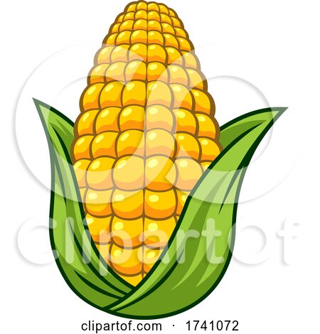 Cartoon Corn by Hit Toon